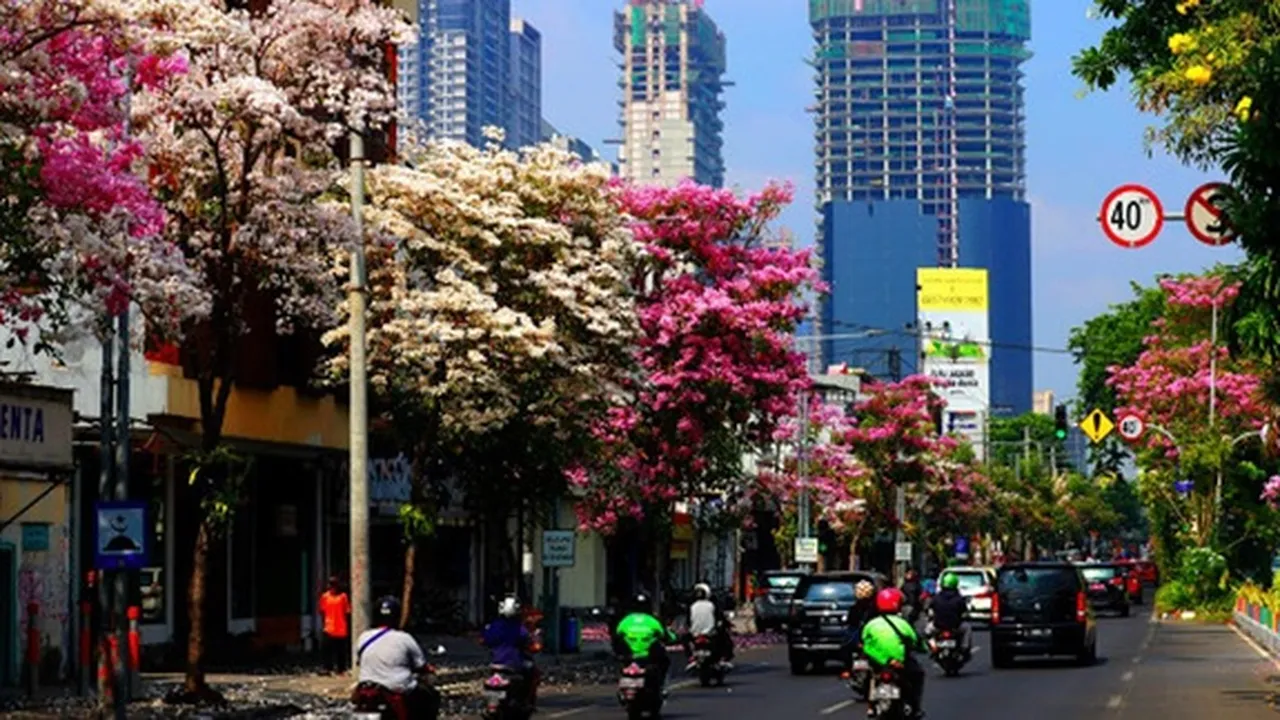 PSBB Surabaya Raya Resmi Berakhir, Warga Diminta Patuhi Ketat Protokol Kesehatan - Pakar Epidemiologi Berpendapat
