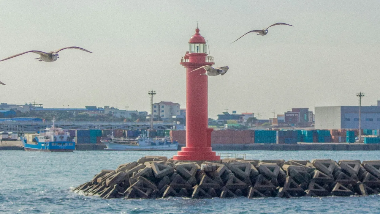 Pulau Jeju Viral, Dugaan Perdagangan Manusia Laporan WNI Ikut Tersorot Pulau Jeju Viral, Dugaan Perdagangan Manusia Laporan WNI Ikut Tersorot