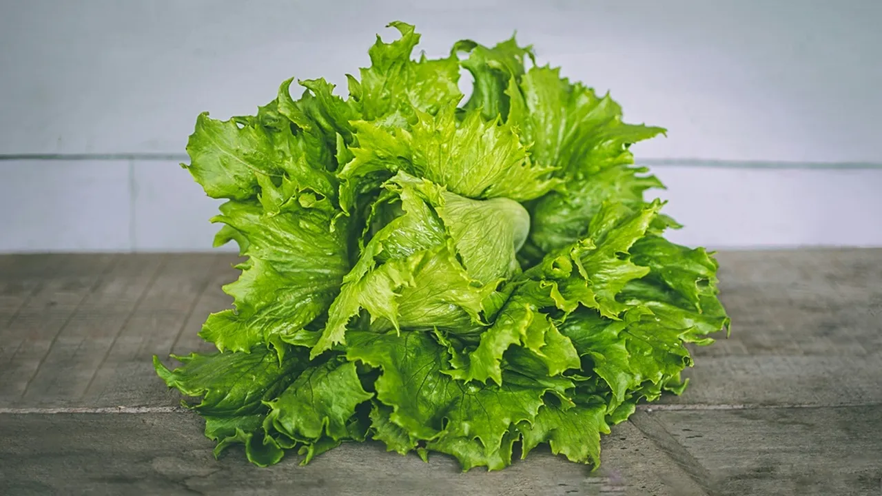Rahasia Kesehatan Mental, Manfaat Menakjubkan dari Sayur Selada!