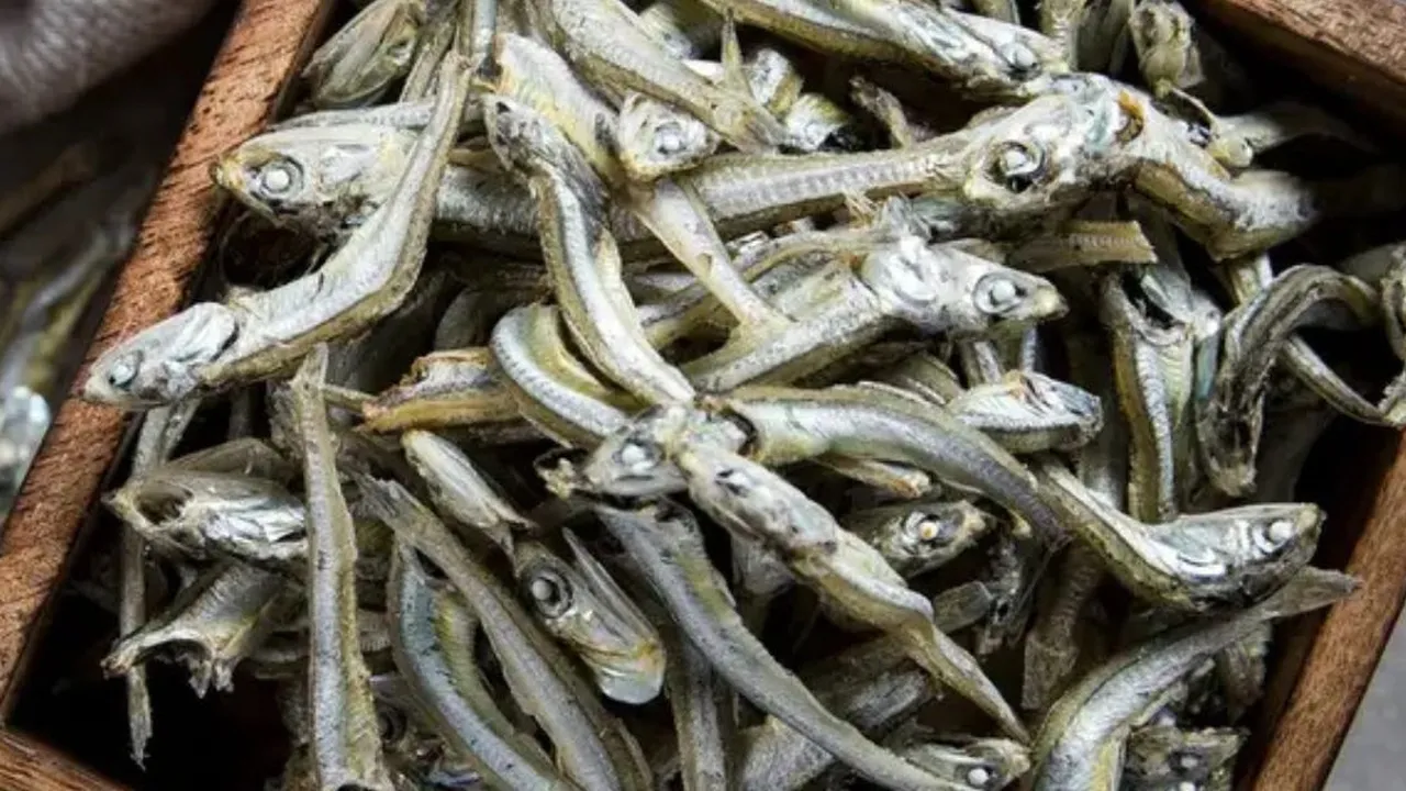 Rahasia Menggoreng Ikan Teri Basah yang Renyah Tanpa Tepung, Simak Triknya
