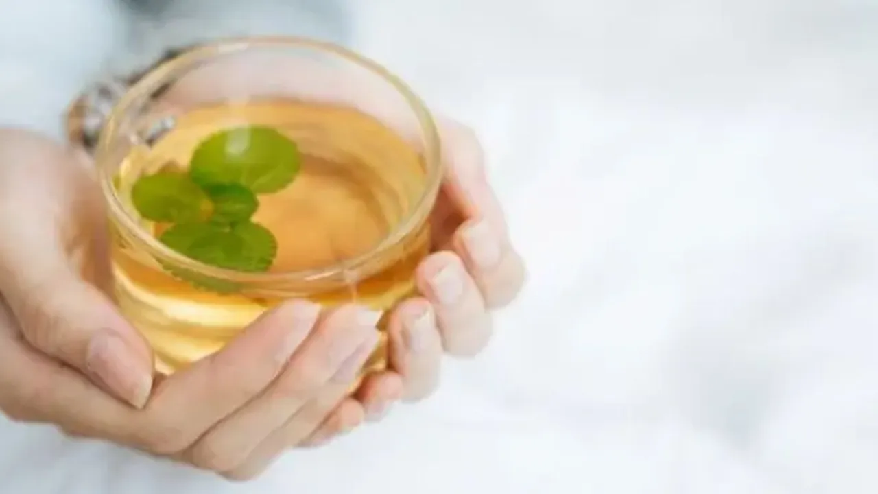 Rahasia Ramuan Herbal Alami untuk Mengatasi Kolesterol Tinggi dengan Mudah