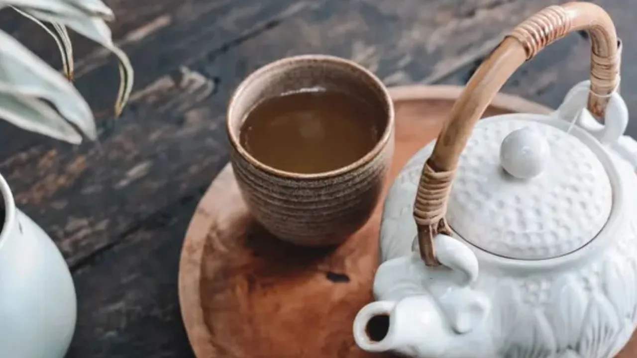 Rahasia Sehat: Tips Mengolah Daun Sirih Cina untuk Menurunkan Kolesterol dengan Mudah