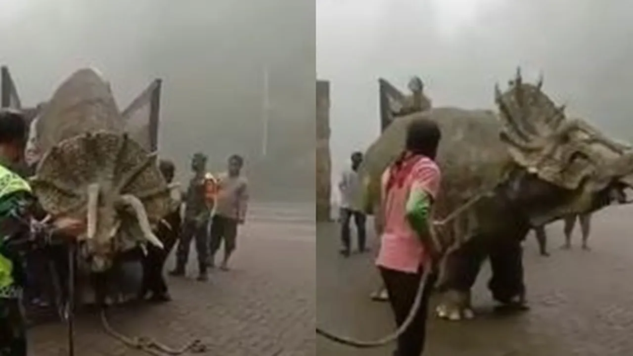 Ramai Dinosaurus Triceratops Muncul di Magetan, Ternyata Ada Fakta Belum Banyak Orang Tahu