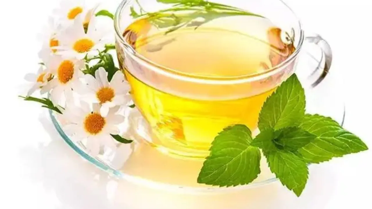 Resep Jamu Rebusan Daun Rahasia Alami untuk Menurunkan Tekanan Darah Tinggi