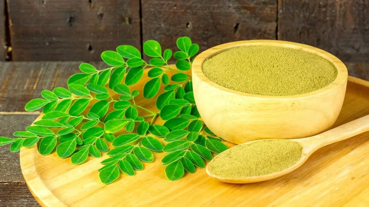 Resep Merebus Daun Kelor untuk Penderita Kolesterol Tinggi, Solusi Alami Mudah Dicoba
