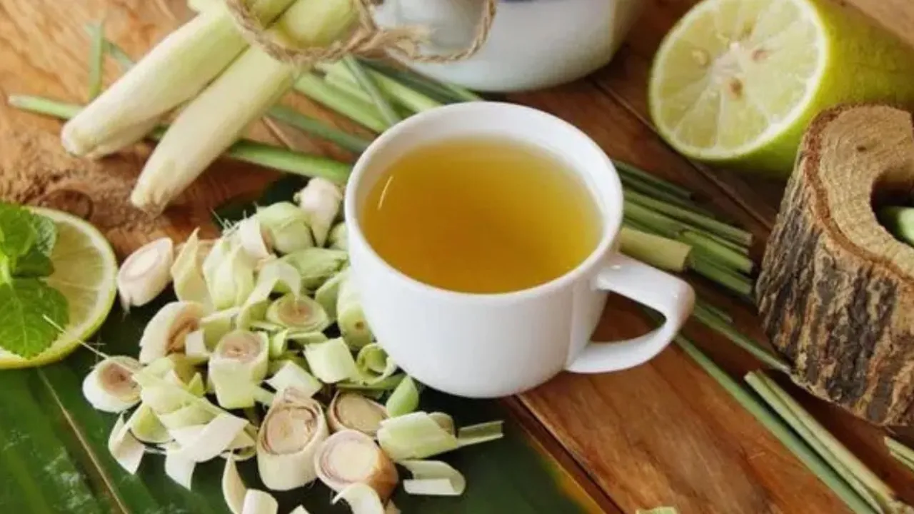 Resep Minuman Herbal Serai dan Kemangi untuk Turunkan Kolesterol, Rahasia Sehat Alami