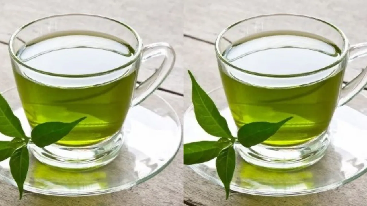 Resep Rebusan 5 Daun yang Ampuh untuk Mengatasi Asam Lambung