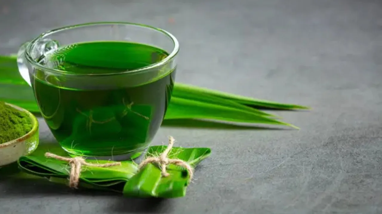 Resep Rebusan Daun Pandan yang Bermanfaat untuk Kesehatan Anda