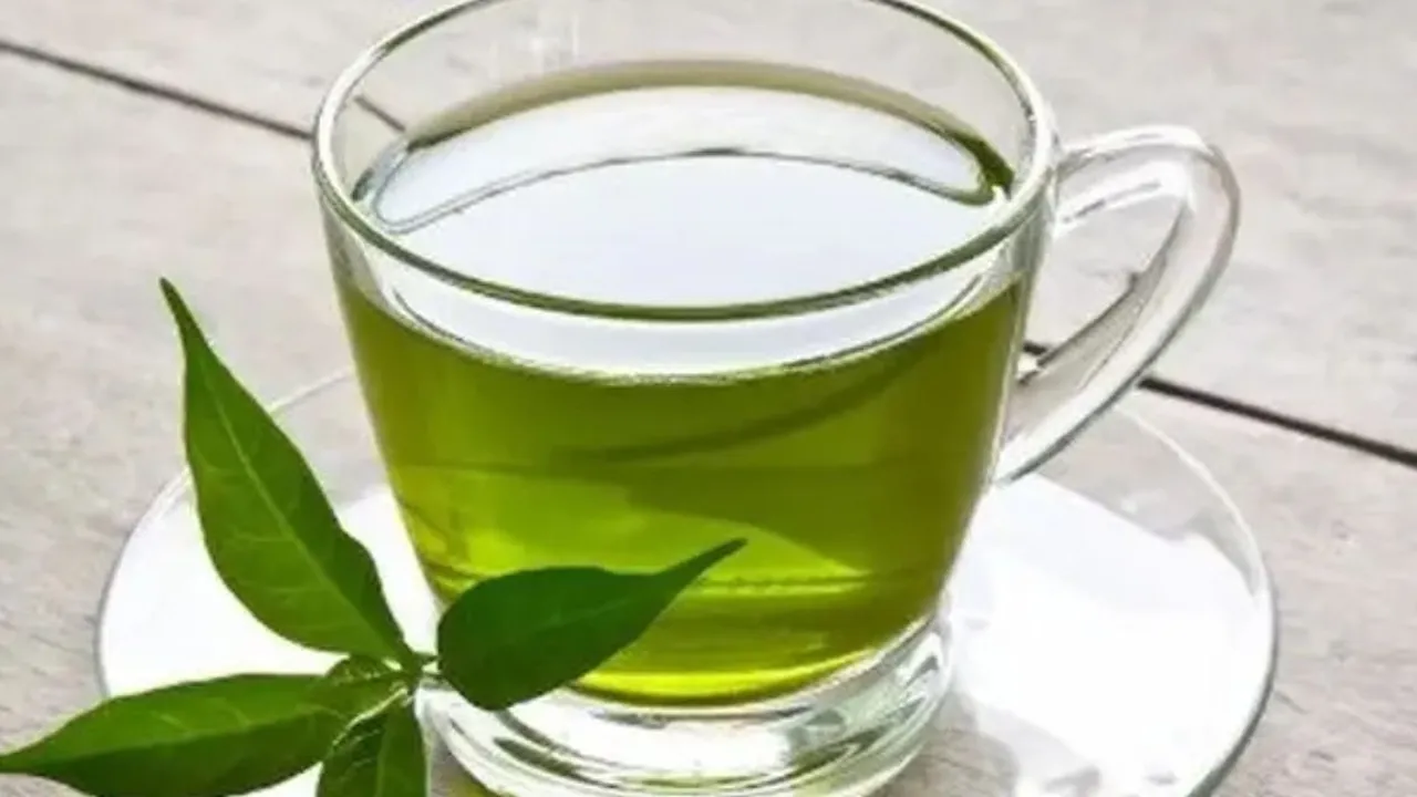 Resep Rebusan Daun untuk Menurunkan Kolesterol dan Mengontrol Darah Tinggi
