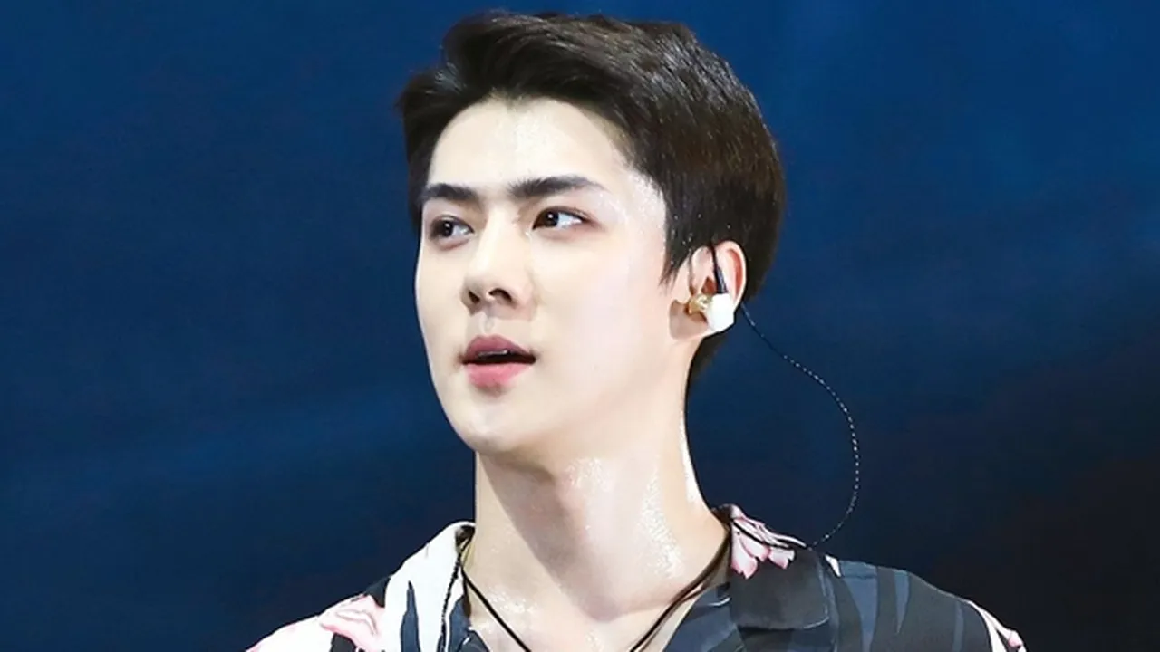 Saat Konser, Sehun EXO Sempat Mengecek Rambut Pakai Kamera Handphone Fans!
