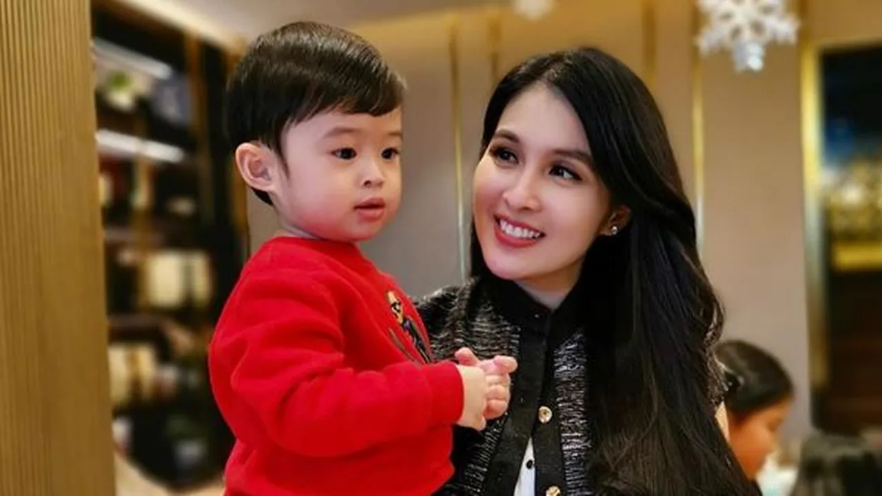 Sandra Dewi Posting Menu Raphael Moeis Sehari-Hari, Ada 6 Mangkok Tiap Kali Makan