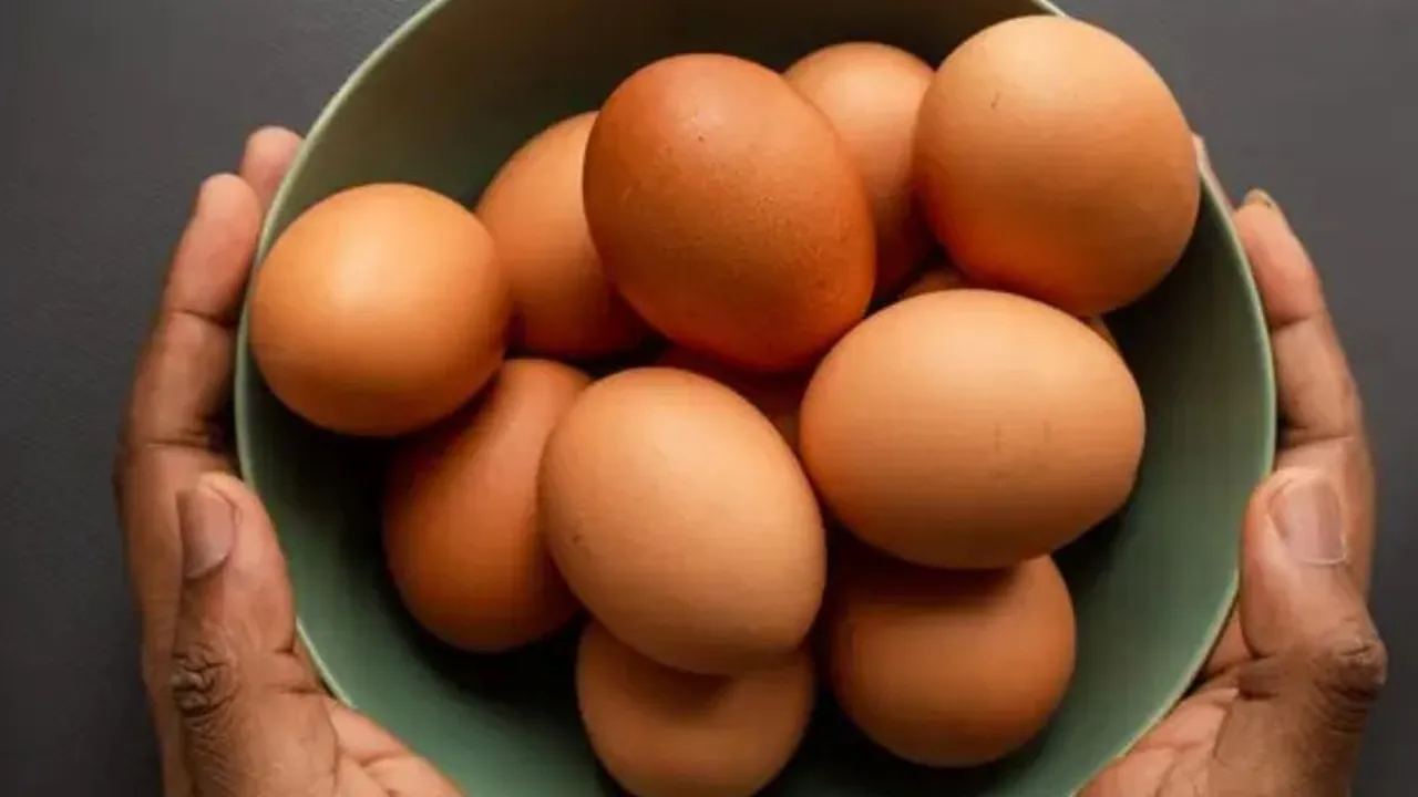 Sarapan dengan Telur, Benarkah Bisa Picu Kenaikan Kolesterol? Ini Kata Ahli