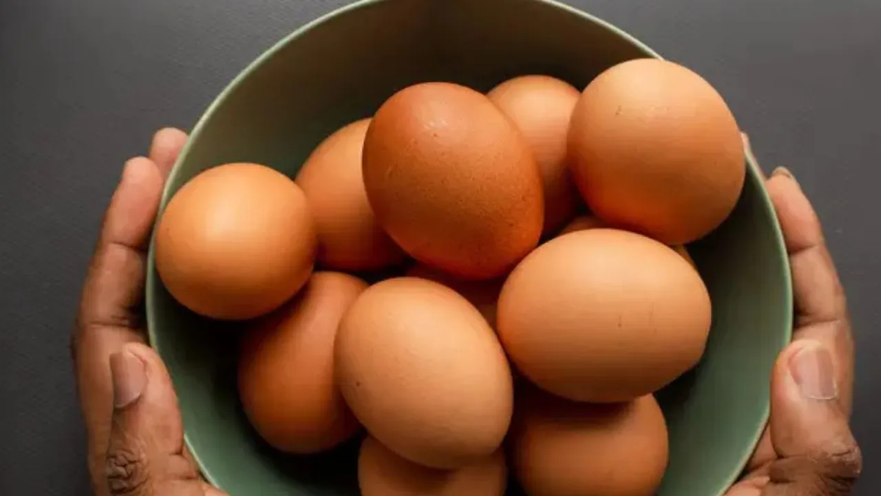 Seberapa Banyak Telur yang Aman untuk Dikonsumsi? Temukan Fakta dan Tipsnya di Sini