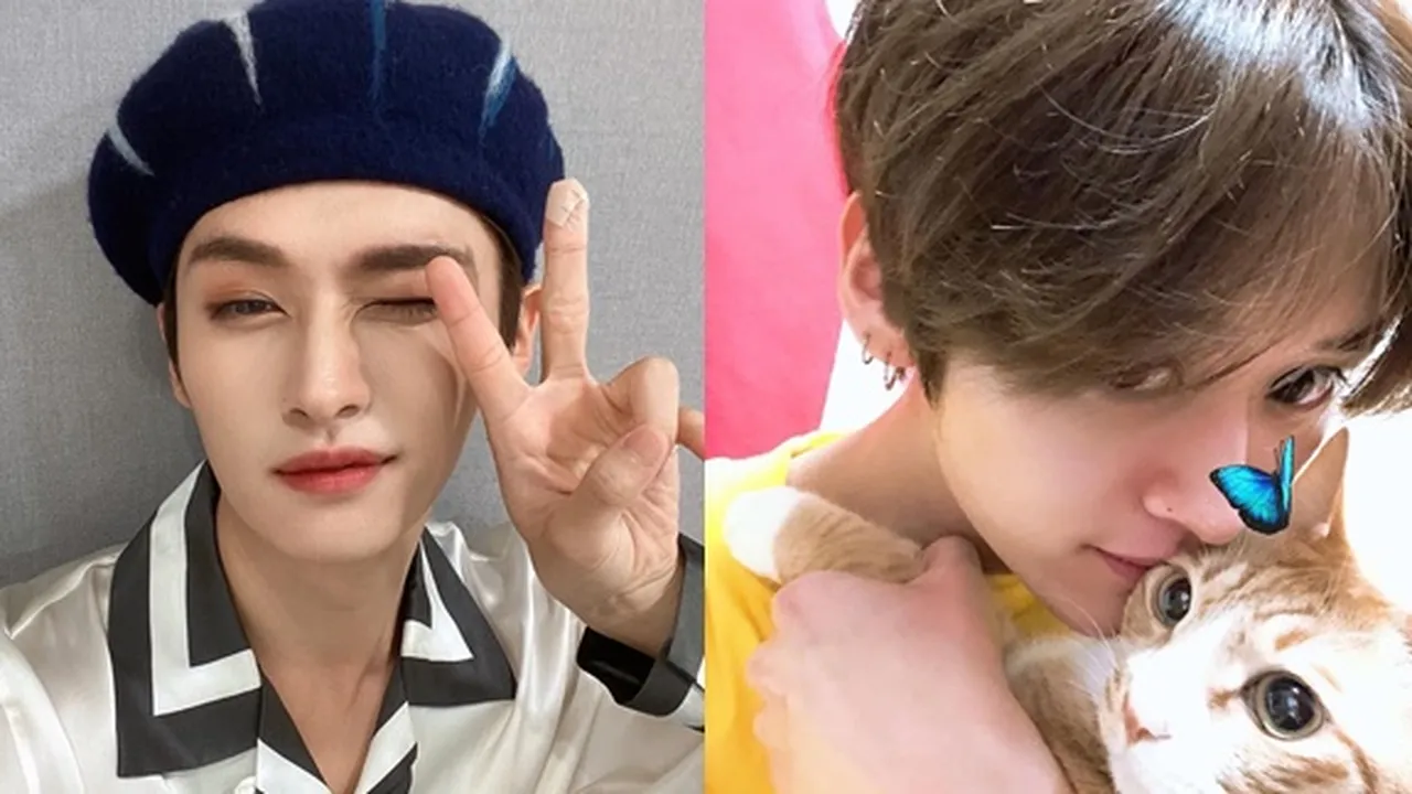 Sederet Fakta Lee Know STRAY KIDS, Idol Tampan yang Miliki Jiwa Sosial Tinggi dan Cat Lovers Banget