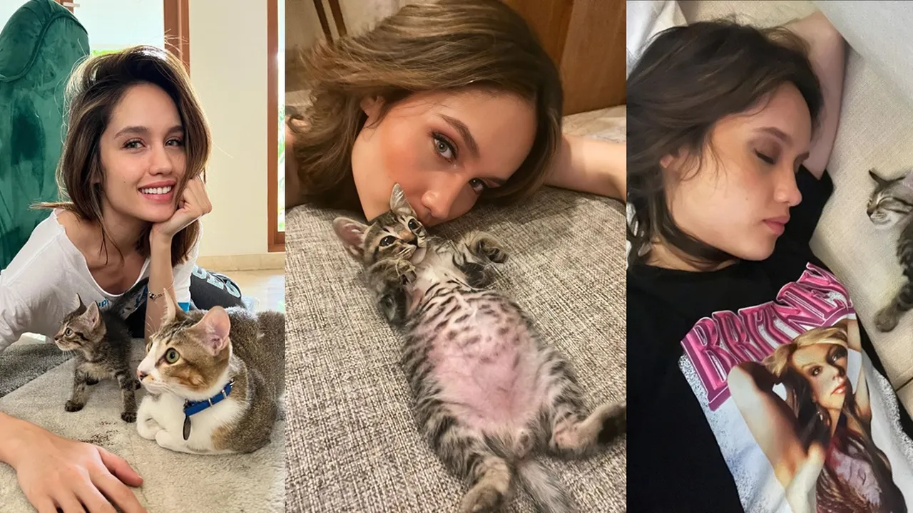 Sederet Potret Cinta Laura Bareng Kucing Kesayangan, Ada yang Ditemukan Terlanjar di Lokasi Syuting