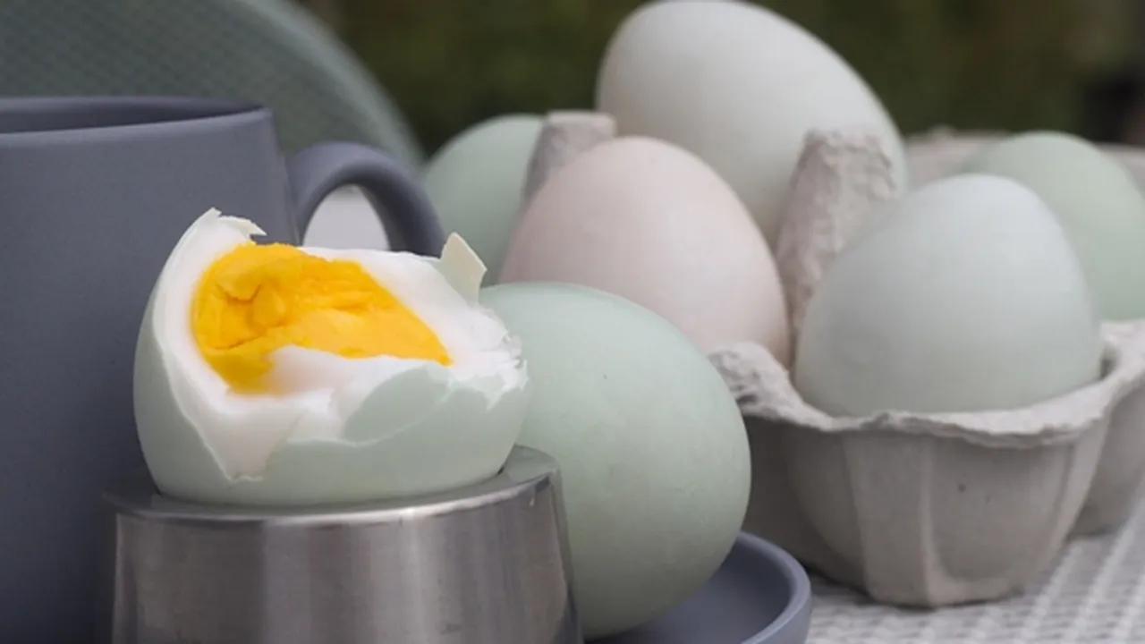 Selain Dimakan Langsung, Ini 5 Resep Olahan Telur Asin yang Bisa Jadi Referensi Masak Kalian