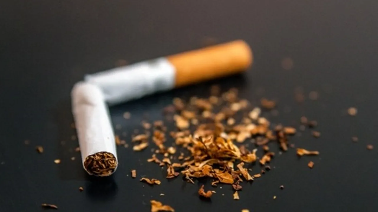 8 Manfaat Tembakau yang Jarang Diketahui Bagi Kesehatan, Tak Hanya Bahan Baku Rokok
