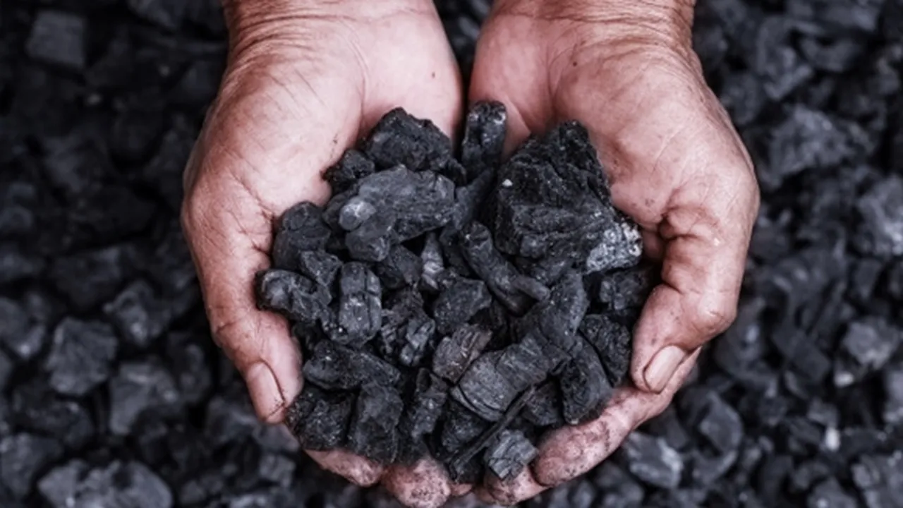Sering Dianggap Remeh, Ini 5 Manfaat Arang Bagi Kesehatan dan Kecantikan Tubuh