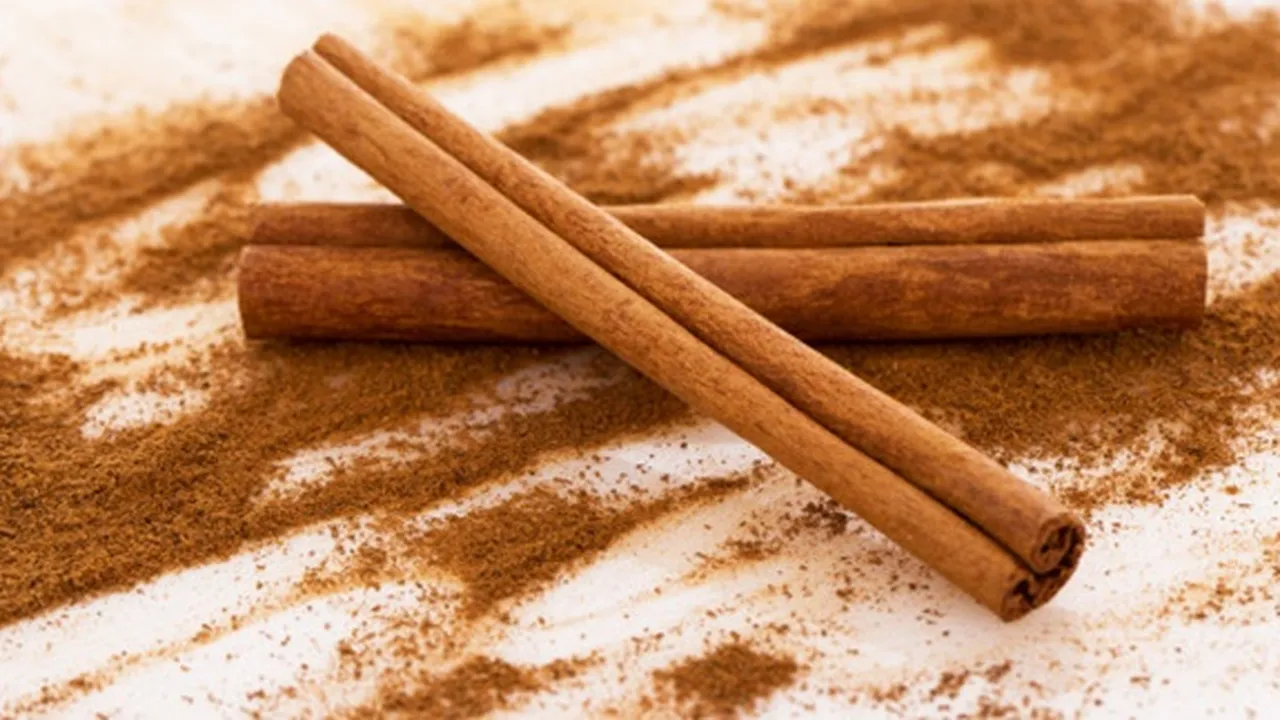 Punya Aroma Khas, Ternyata Ini 8 Manfaat Kayu Manis Bagi Kesehatan