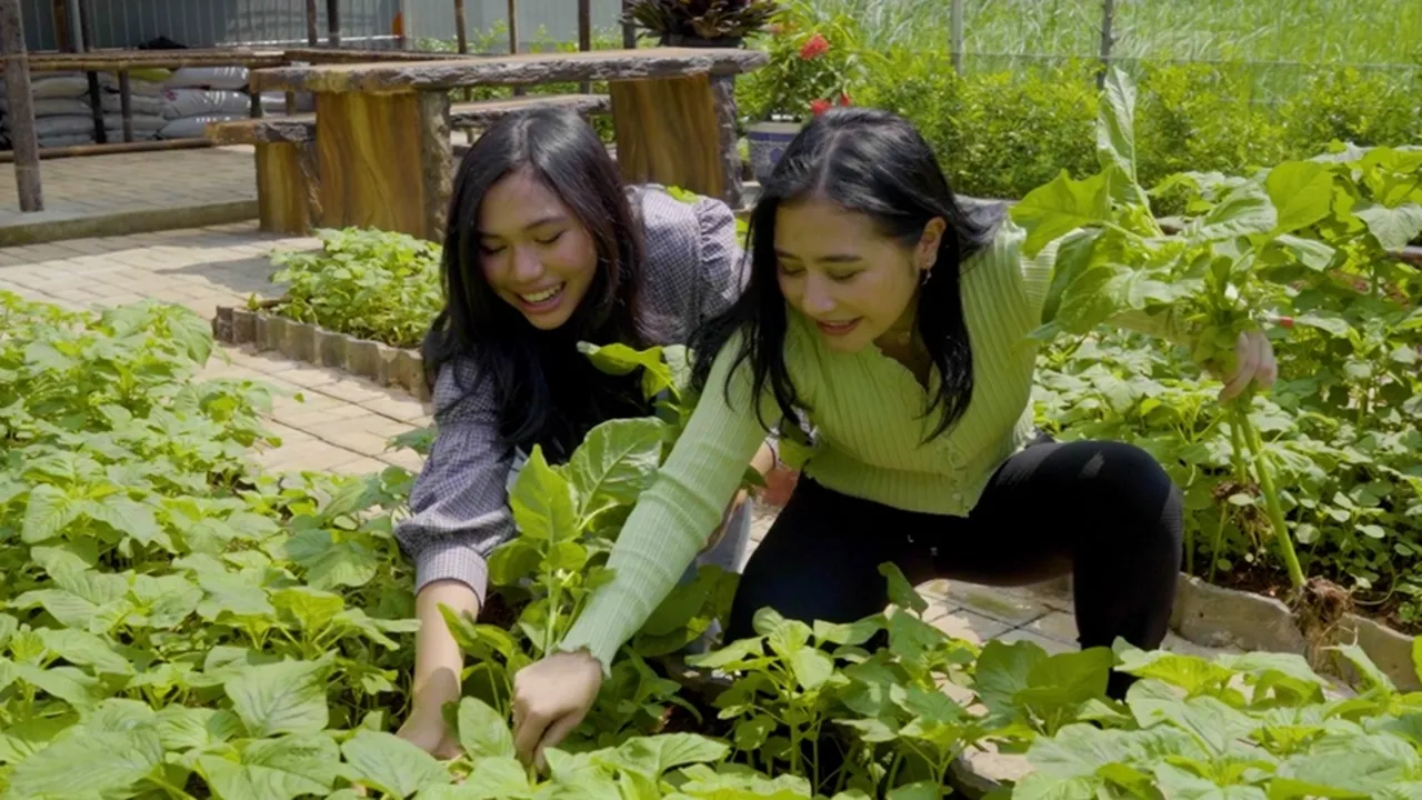 Seru Banget, Prilly Latuconsina dan Aminda Berkebun dan Masak Bareng