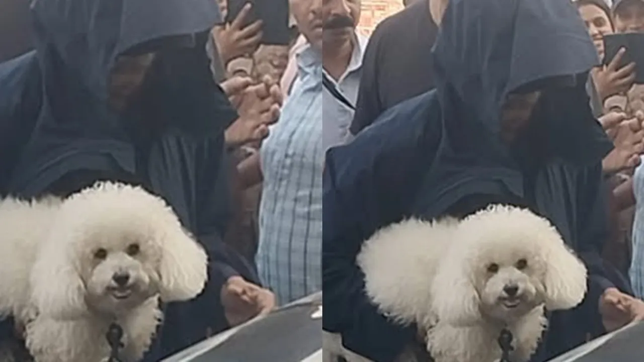 Shahrukh Khan Pamer Anjing Barunya, Lucu dan Menggemaskan