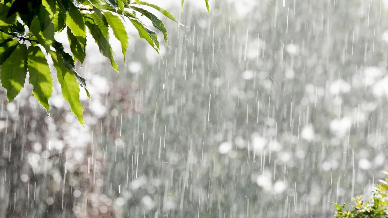 Siaga Banjir di Musim Hujan, Temukan Tips Ampuh untuk Menghadapi!
