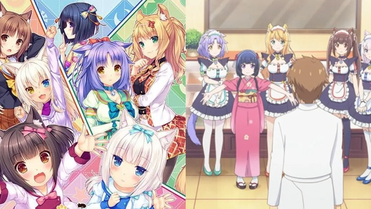 Sinopsis Anime NEKOPARA, Kisah Para Kucing Cantik yang Bekerja di Toko Roti