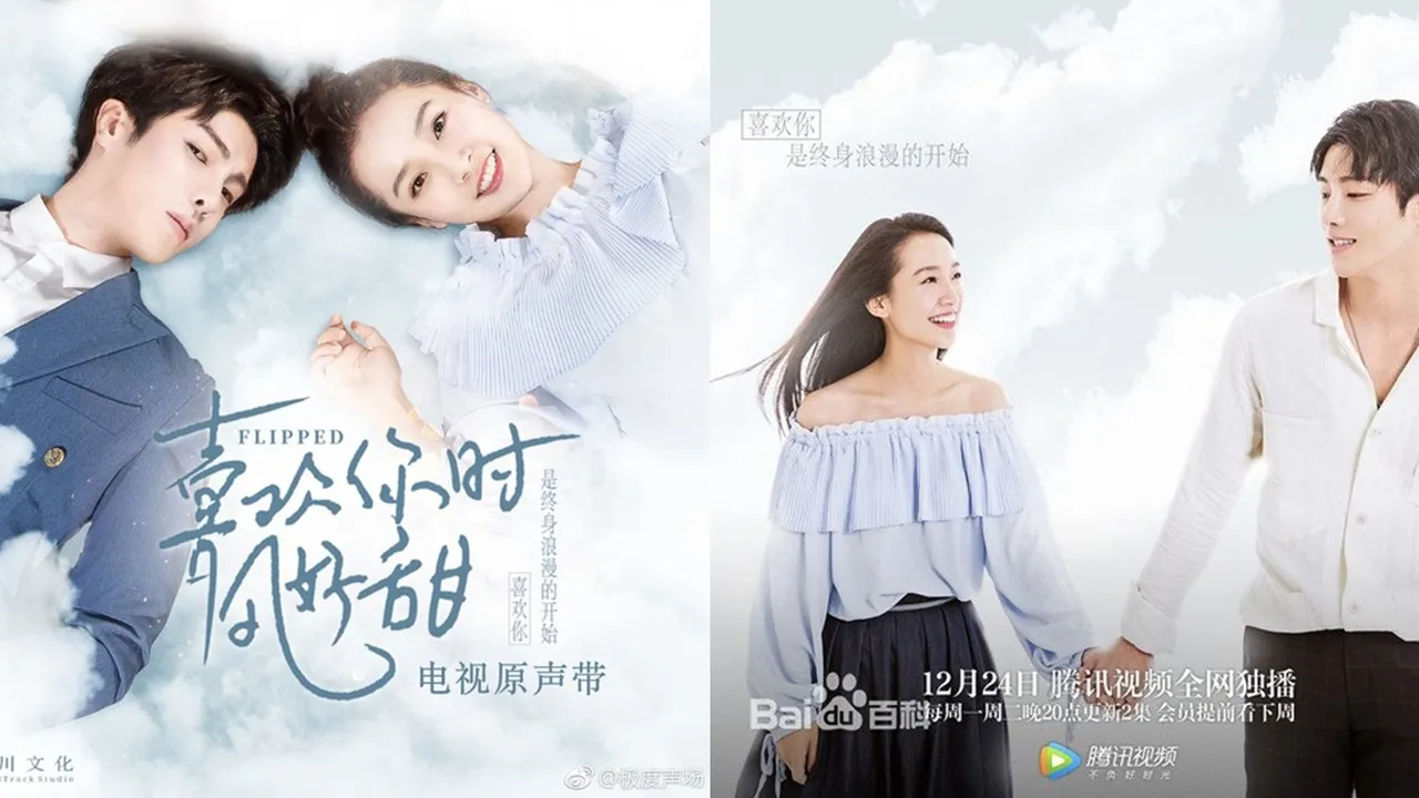 Sinopsis FLIPPED Chinese Drama, Beserta Daftar Lengkap Para Pemain
