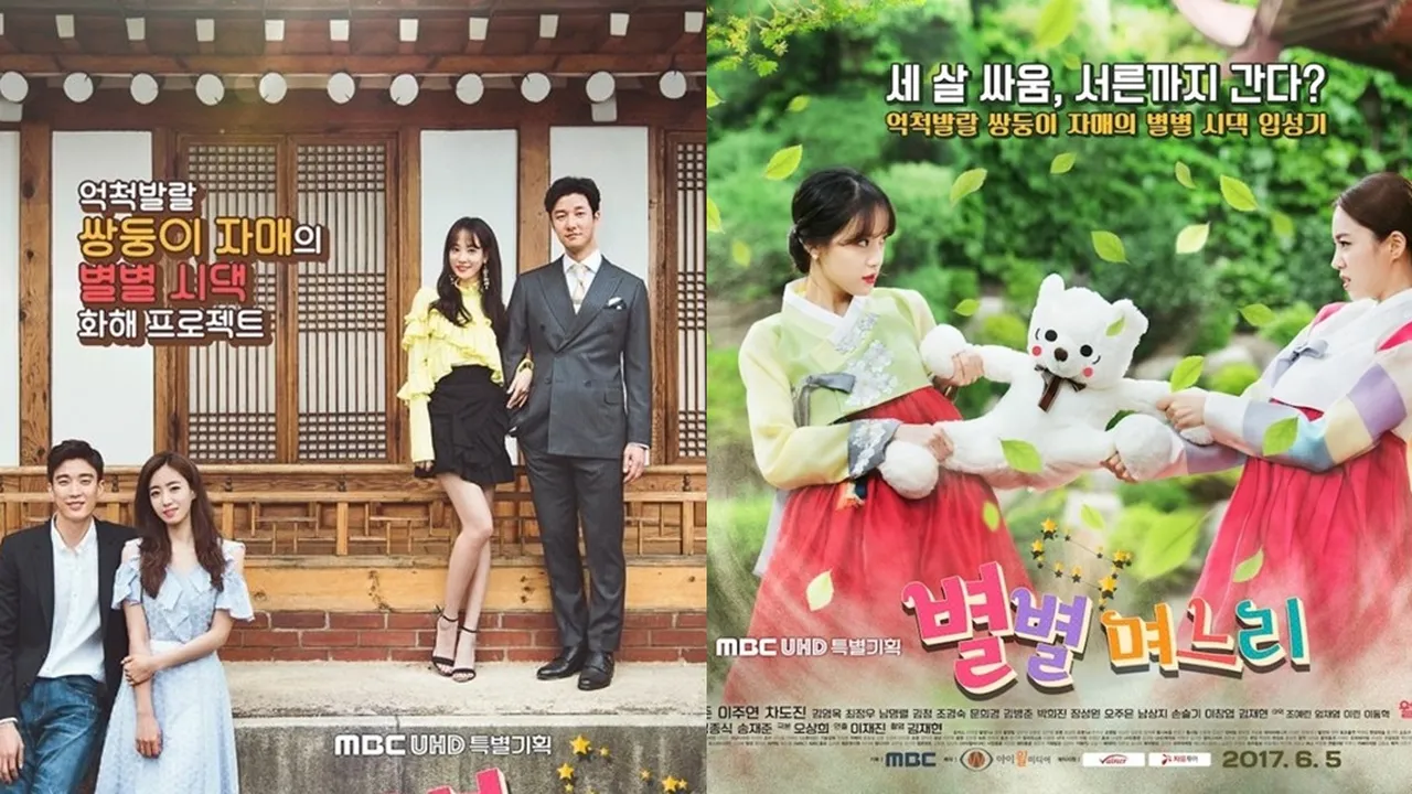 Sinopsis SISTER IN LAW Drama Korea Beserta Informasi Menarik Lainnya
