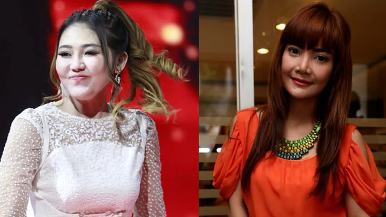 Soal Cover Lagu SID, Irma Dharmawangsa: Via Vallen Tidak Salah