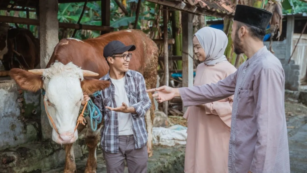 Solusi Beli Hewan Kurban yang Praktis, Cobain Yuk