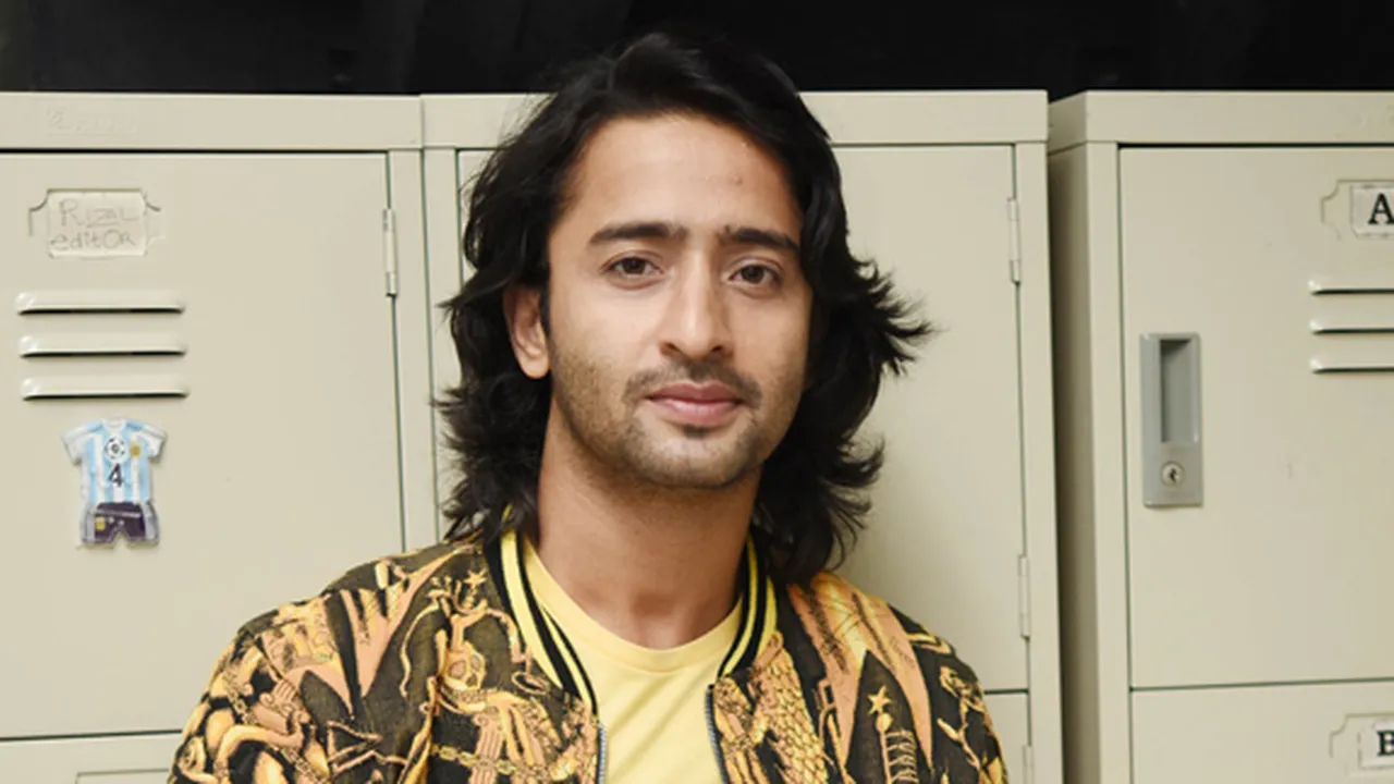 Susul Ayu Ting Ting, Shaheer Sheikh Umumkan Pacaran dengan Ruchika Kapoor