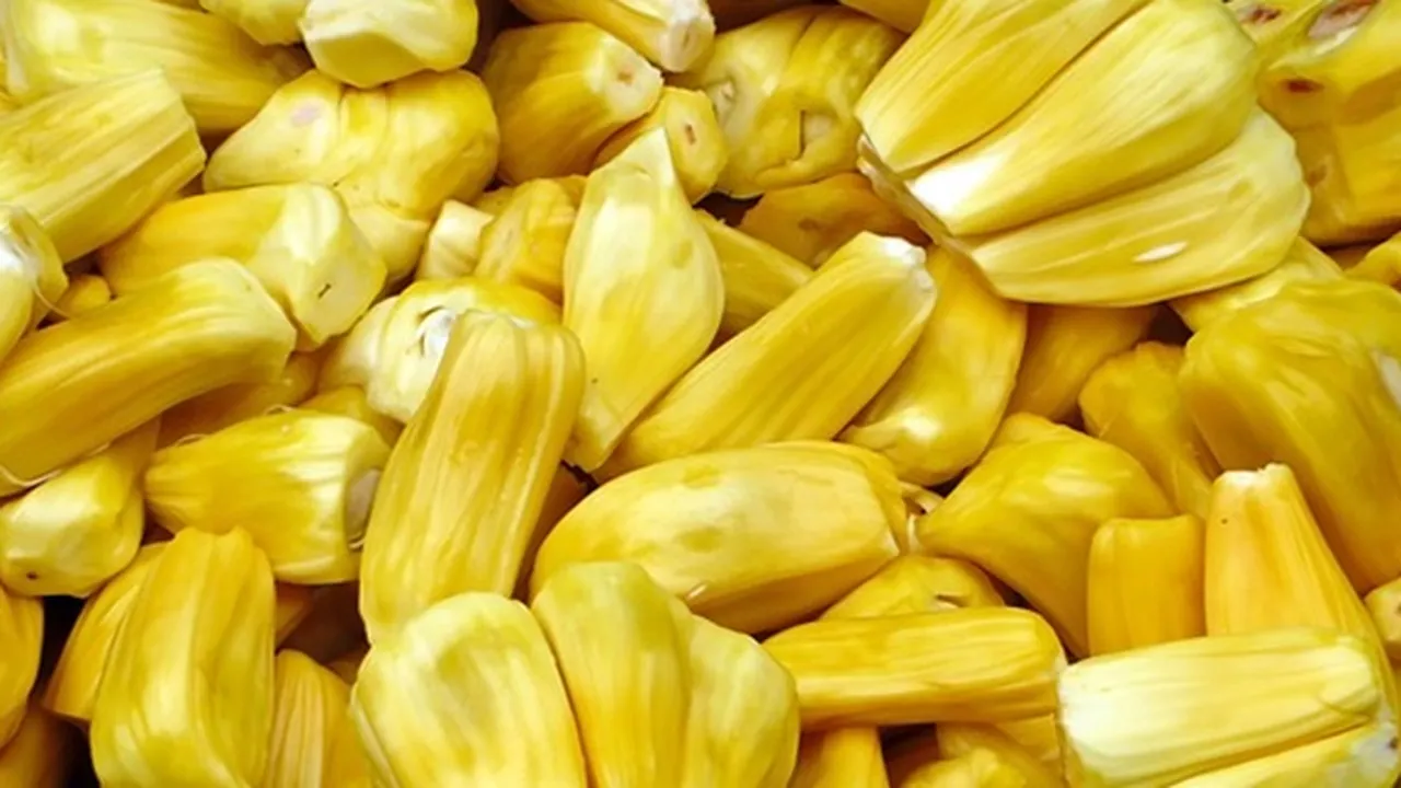 Tak Banyak yang Tahu! Ini 8 Manfaat Buah Nangka untuk Kesehatan, Bisa Jaga Tekanan Darah