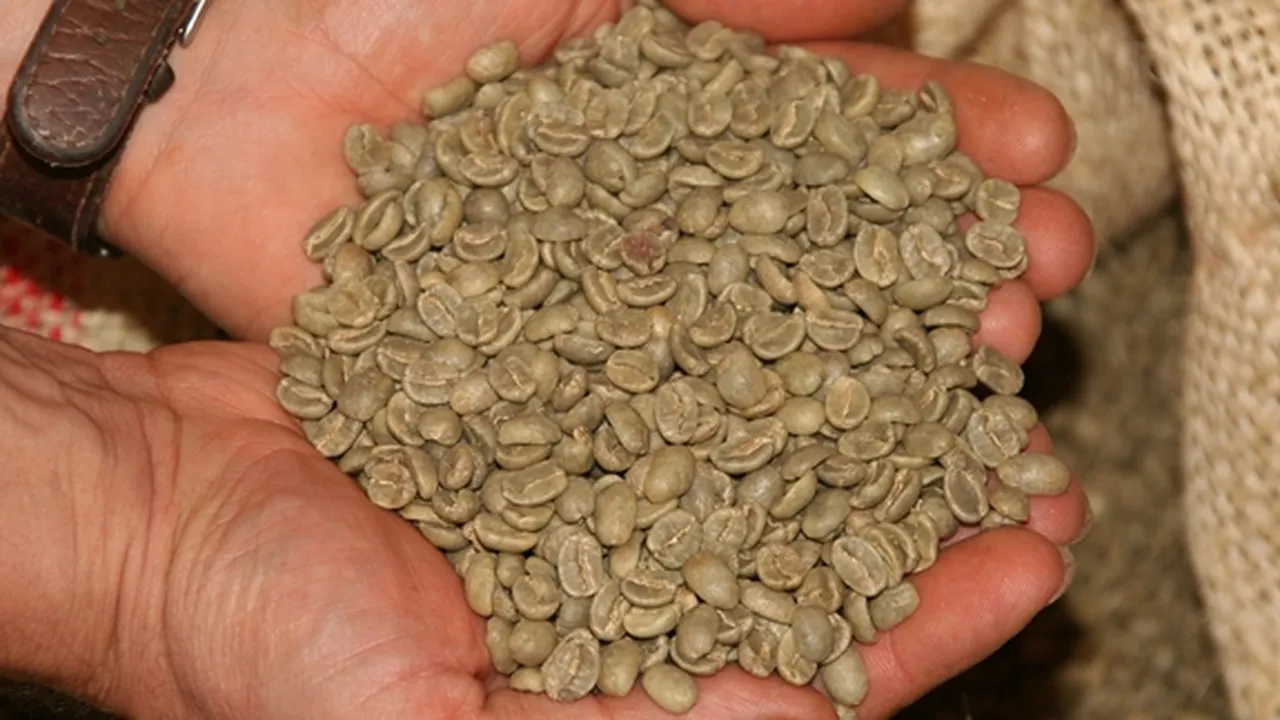 Tak Kalah dengan Kopi Hitam, Ini 7 Manfaat Green Coffee Bean Bagi Kesehatan