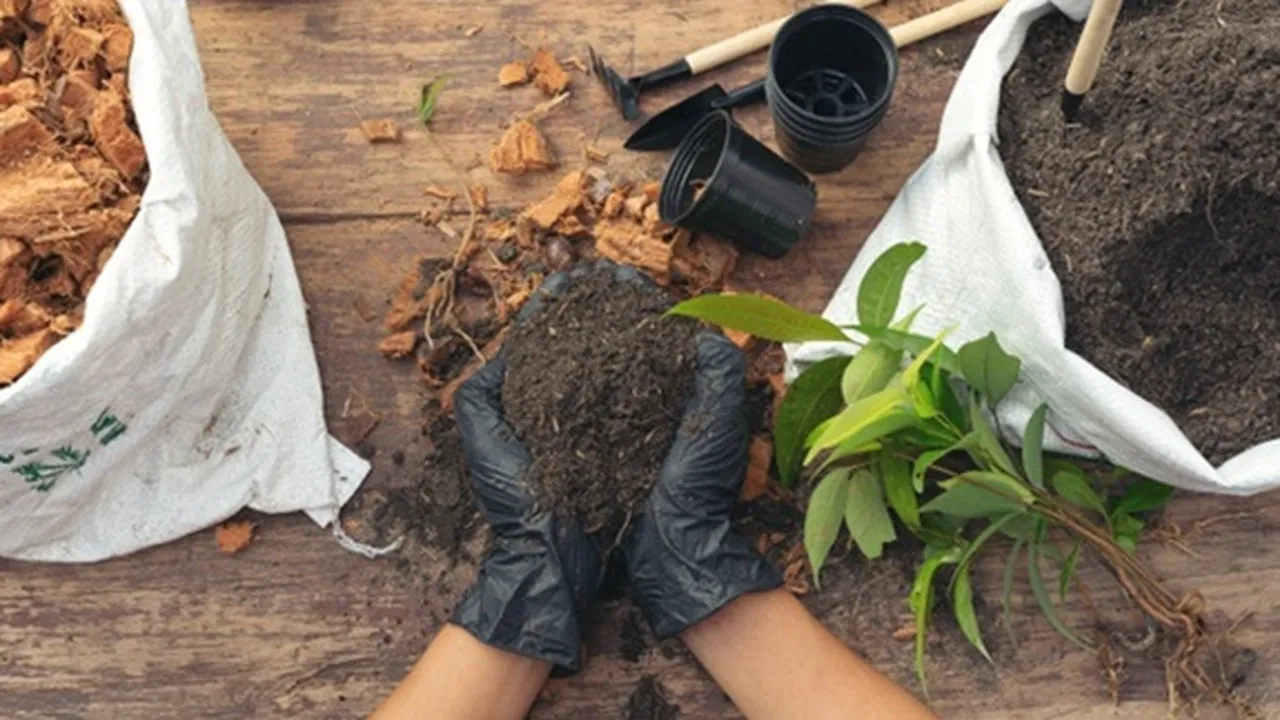 Tak Sekadar Trend, Berkebun Jadi Gaya Hidup Menyehatkan Mental di Masa Pandemi