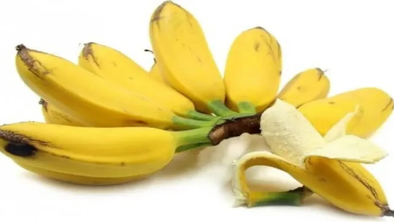 Teknik Merebus Pisang Kepok dengan Cara Mudah, Perlu Dicoba