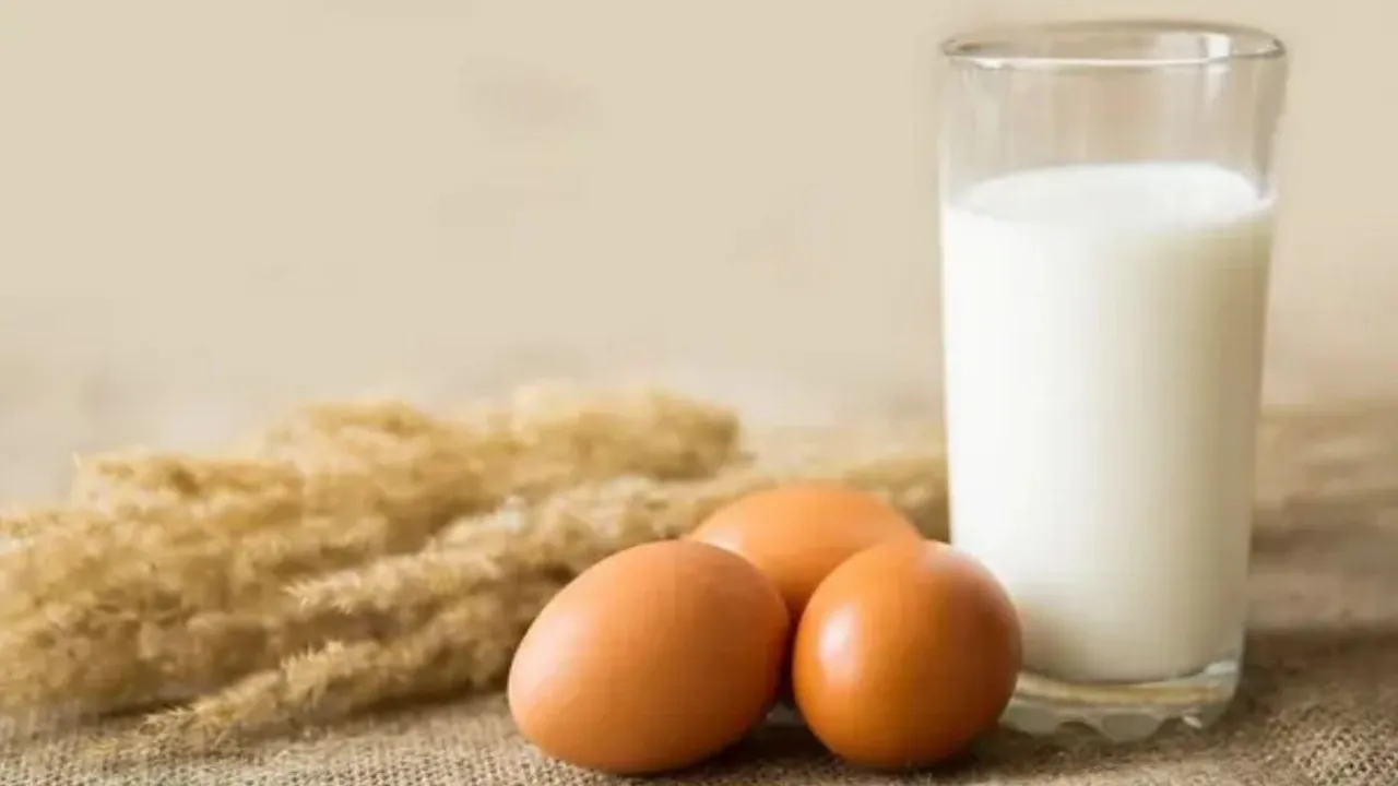 Telur dan Susu, Teman Sehat atau Musuh Kolesterol? Temukan Jawabannya di Sini