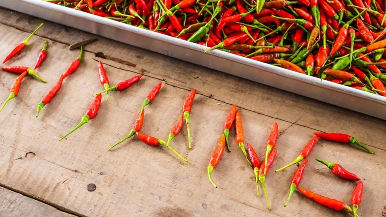 Terbongkar! Cabai Hiyung Ternyata Jadi Resep Rahasia di Balik Kenikmatan Sambal Ini