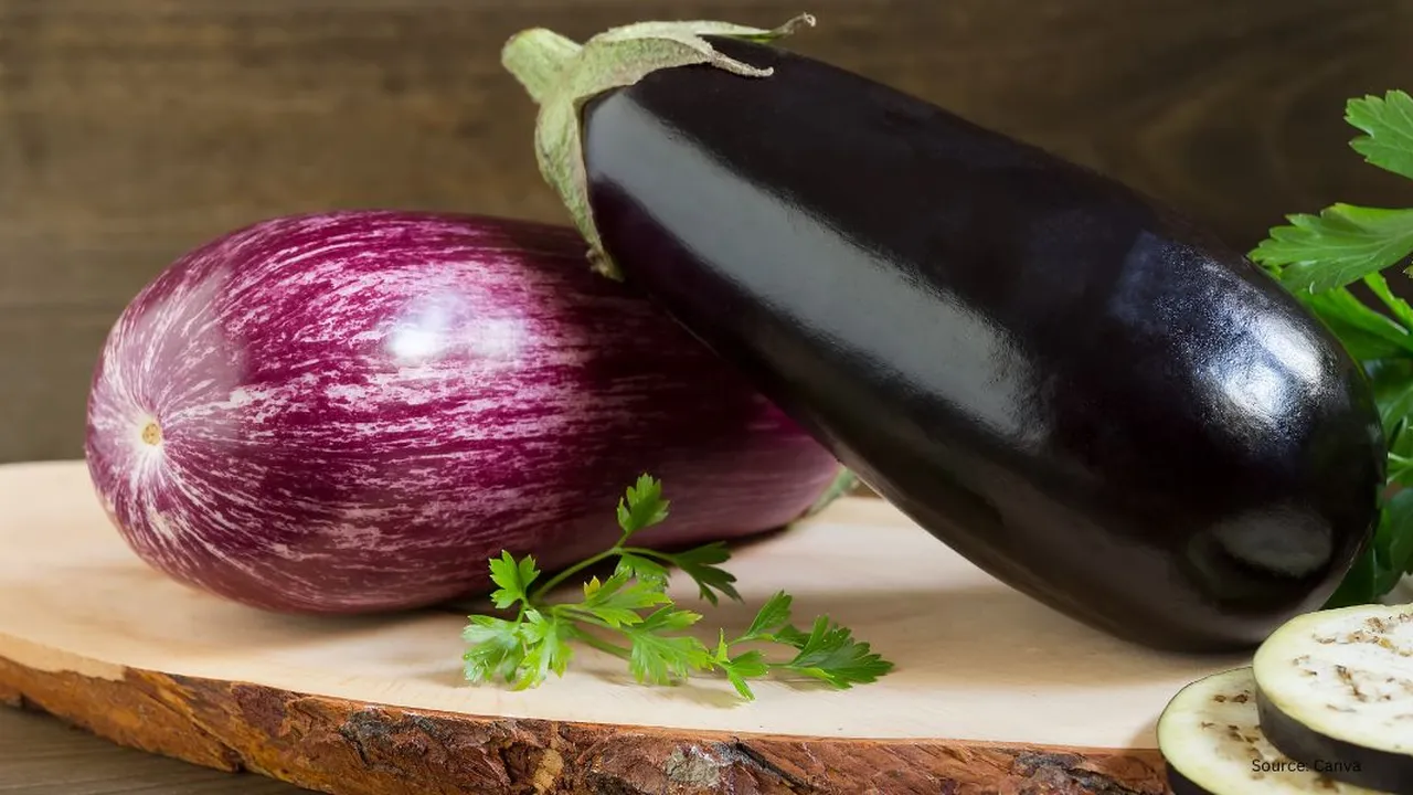 Terong Tetap Ungu Cantik Saat Dimasak? Ini Langkah-Langkah Praktisnya