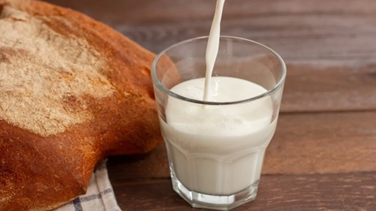 10 Manfaat Susu Beruang Bila Dikonsumsi Secara Rutin, Rasakan Khasiatnya