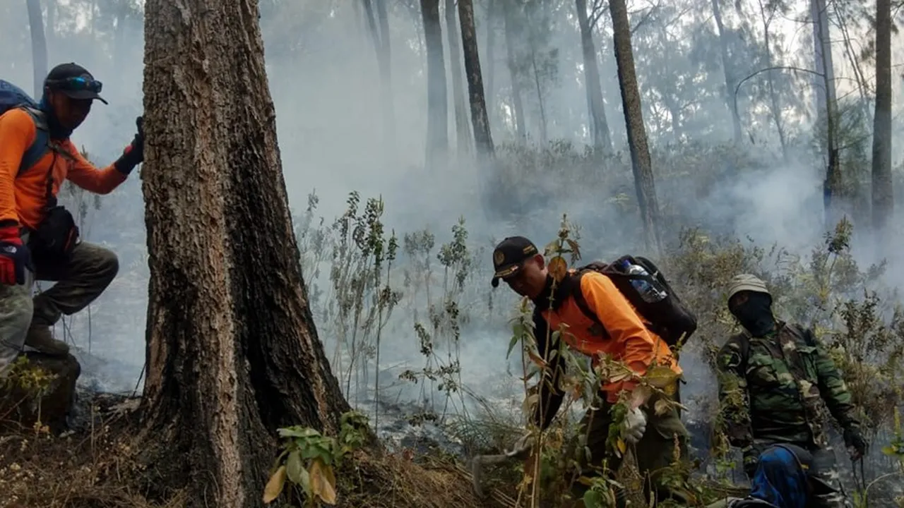 Tim Terus Sisir Kemungkinan Muncul Api di Sisa Kebakaran Gunung Arjuno