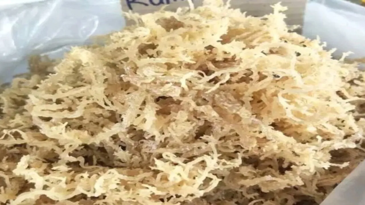 Tips Aman Mengolah Rumput Laut Kering, Cuma Pakai Bahan Dapur Ini