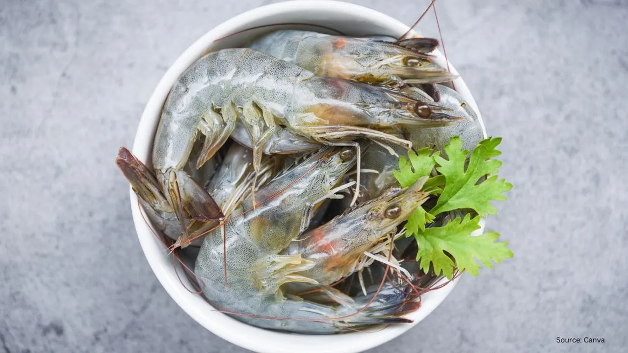 Tips Efektif Menyimpan Udang agar Tahan Lama dan Berkualitas