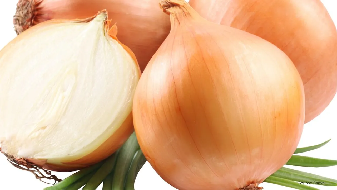 Tips Menyimpan Sisa Bawang Bombay dengan Hasil Awet dan Segar