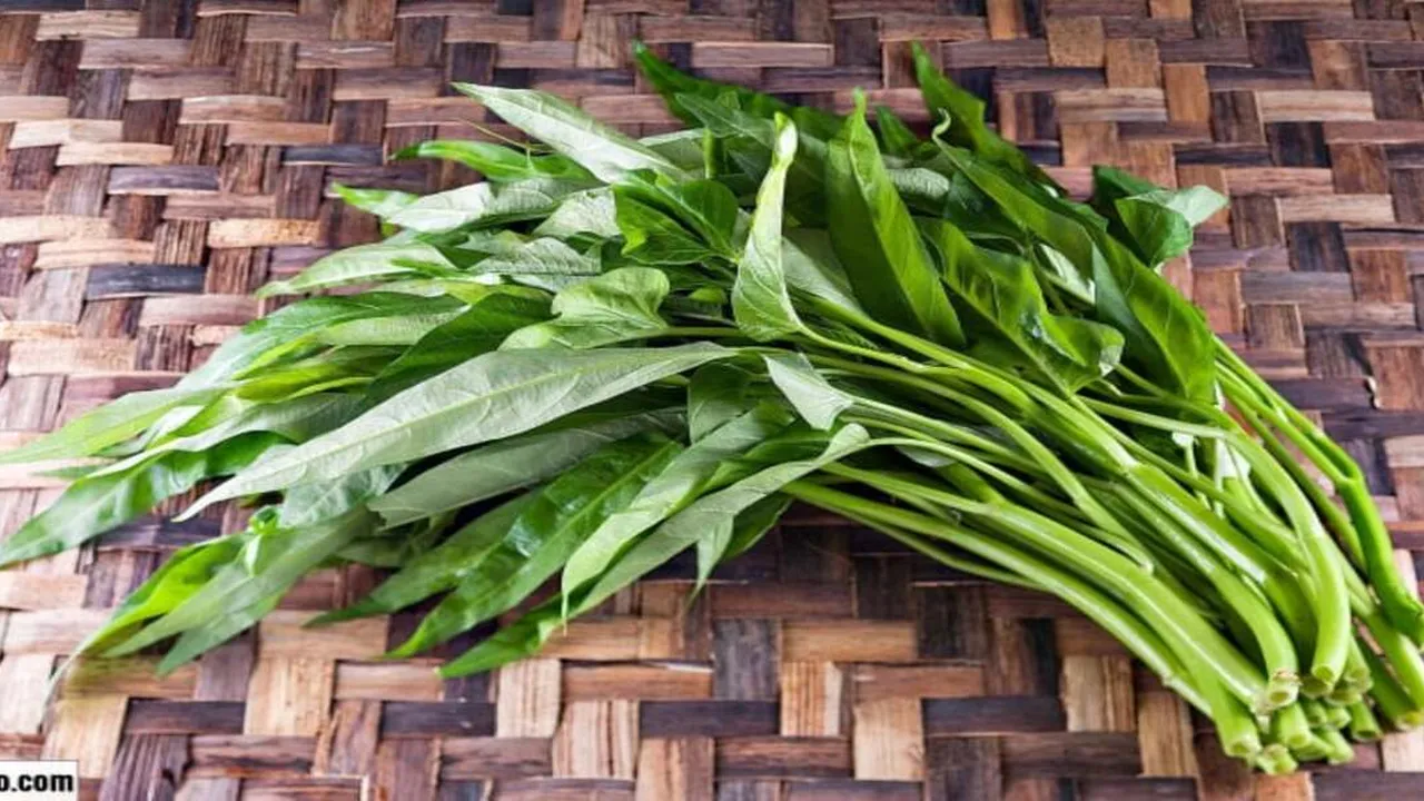 Tips Merebus Kangkung yang Benar untuk Hidangan Sehat di Rumah