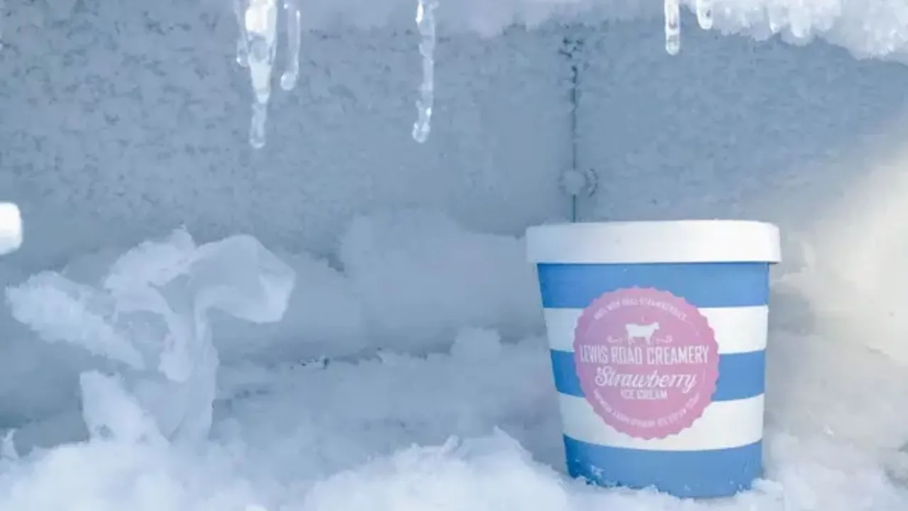 Tips Praktis Membuat Freezer Bebas Bunga Es dalam Waktu Singkat
