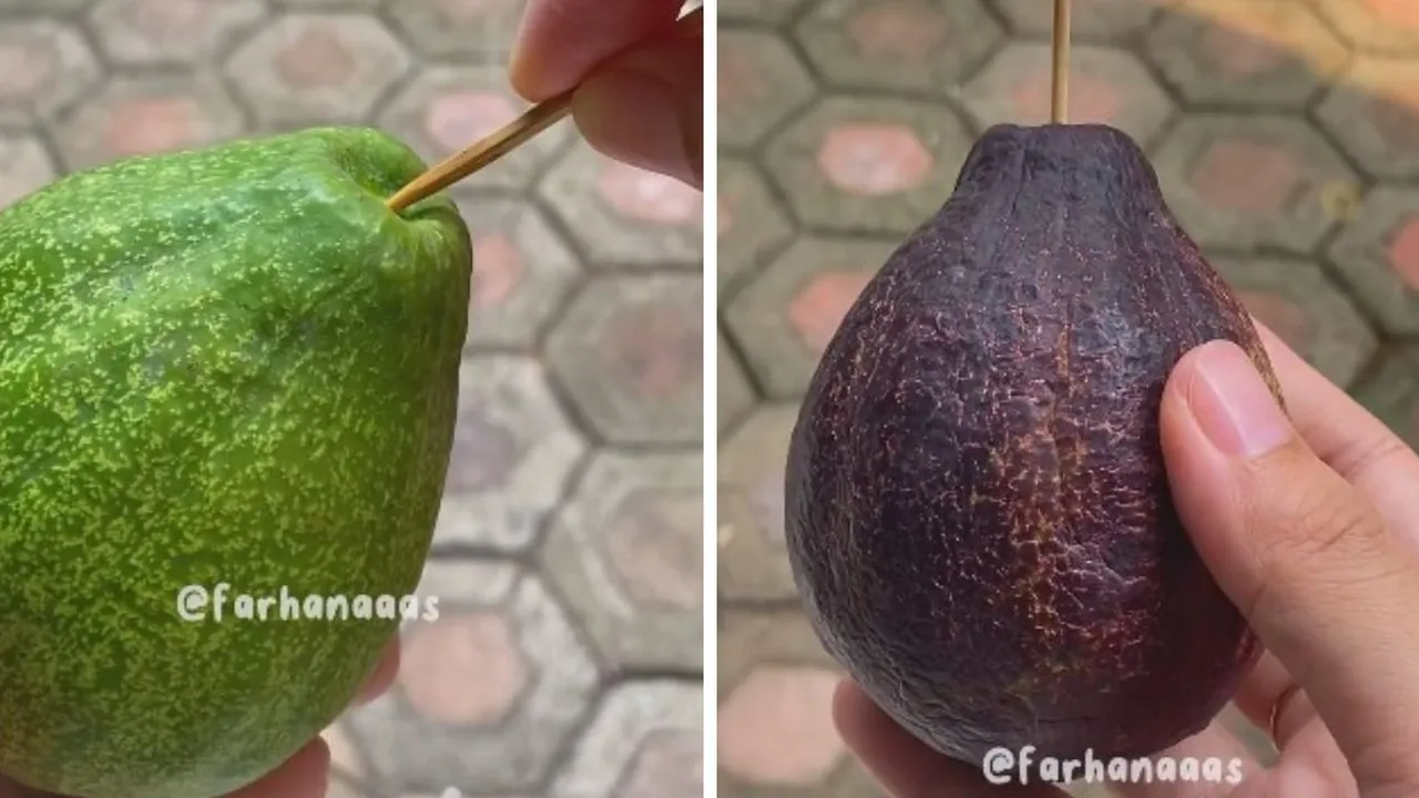 Trik Agar Buah Alpukat Cepat Matang, Hanya Pakai Satu Alat Sederhana