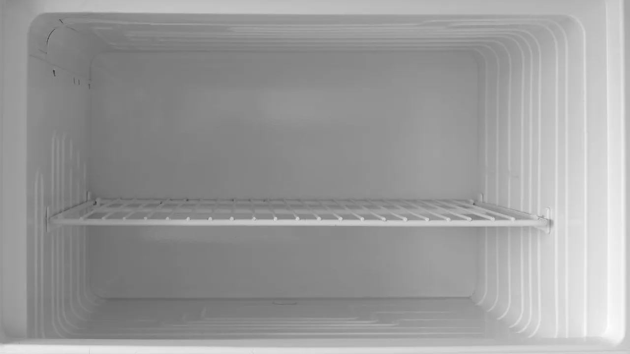 Trik Ampuh untuk Mengusir Bunga Es di Freezer, Solusi Cepat yang Harus Anda Coba!