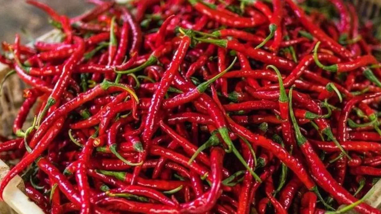 Trik Praktis Agar Cabai Merah Tak Terlalu Pedas di Mulut