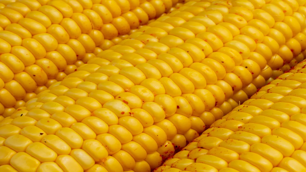 Trik Unik Rebus Jagung agar Rasanya Semakin Manis dan Tidak Boros Gas
